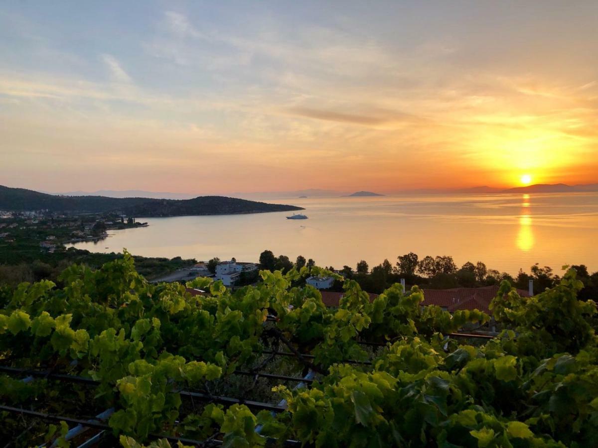 Villa Krassi Epidaurus Eksteriør bilde